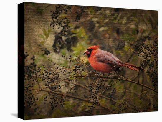 Song of the Red Bird 2-Jai Johnson-Stretched Canvas