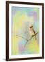 Song of the Waxwing-Jai Johnson-Framed Giclee Print