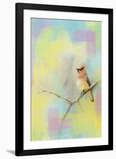 Song of the Waxwing-Jai Johnson-Framed Giclee Print