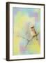 Song of the Waxwing-Jai Johnson-Framed Giclee Print