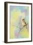 Song of the Waxwing-Jai Johnson-Framed Giclee Print