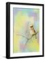 Song of the Waxwing-Jai Johnson-Framed Giclee Print