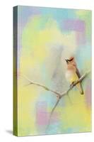 Song of the Waxwing-Jai Johnson-Stretched Canvas