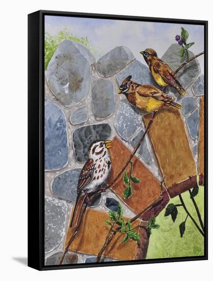Song Sparrow and Cedar Waxwings-Charlsie Kelly-Framed Stretched Canvas
