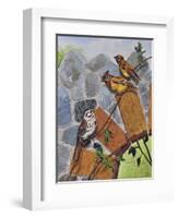 Song Sparrow and Cedar Waxwings-Charlsie Kelly-Framed Giclee Print