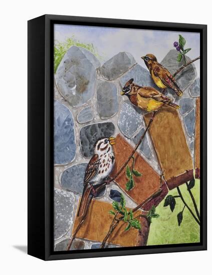 Song Sparrow and Cedar Waxwings-Charlsie Kelly-Framed Stretched Canvas