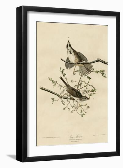 Song Sparrow-null-Framed Giclee Print