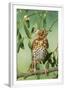 Chelsea White