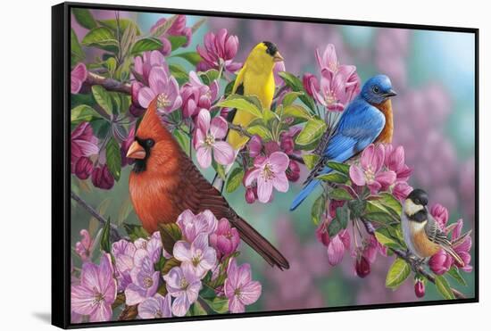 Songbird Colors-Jeffrey Hoff-Framed Stretched Canvas