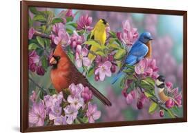 Songbird Colors-Jeffrey Hoff-Framed Giclee Print