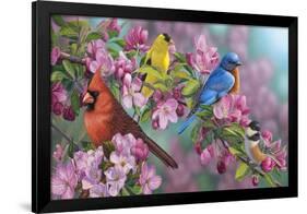 Songbird Colors-Jeffrey Hoff-Framed Premium Giclee Print