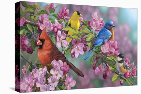 Songbird Colors-Jeffrey Hoff-Stretched Canvas