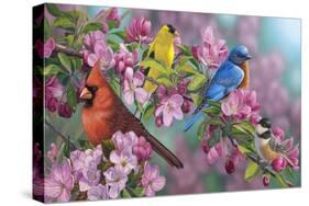 Songbird Colors-Jeffrey Hoff-Stretched Canvas