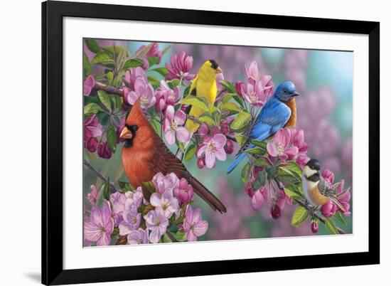 Songbird Colors-Jeffrey Hoff-Framed Giclee Print