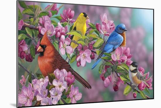 Songbird Colors-Jeffrey Hoff-Mounted Giclee Print