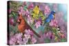 Songbird Colors-Jeffrey Hoff-Stretched Canvas