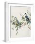 Songbird Duo I-Sally Swatland-Framed Art Print