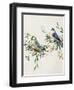 Songbird Duo I-Sally Swatland-Framed Art Print