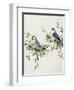 Songbird Duo I-Sally Swatland-Framed Art Print