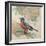 Songbird Robin-Sue Schlabach-Framed Art Print