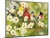 Songbirds on a Flowering Branch-William Vanderdasson-Mounted Giclee Print