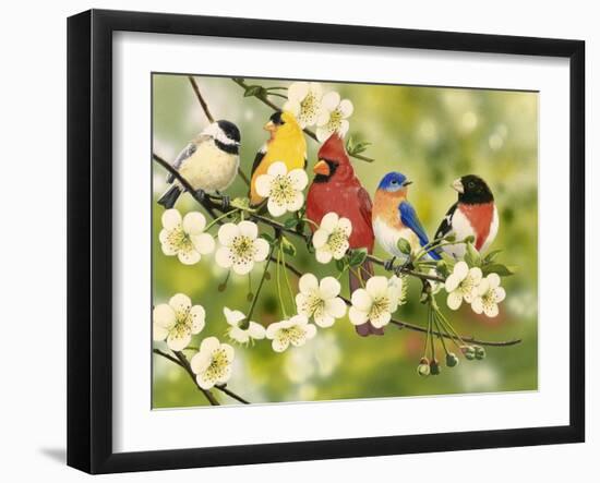 Songbirds on a Flowering Branch-William Vanderdasson-Framed Giclee Print