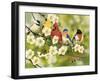 Songbirds on a Flowering Branch-William Vanderdasson-Framed Giclee Print