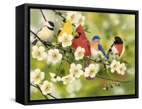 Songbirds on a Flowering Branch-William Vanderdasson-Framed Stretched Canvas