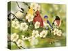 Songbirds on a Flowering Branch-William Vanderdasson-Stretched Canvas