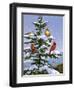 Songbirds on a Limb-William Vanderdasson-Framed Giclee Print