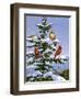 Songbirds on a Limb-William Vanderdasson-Framed Premium Giclee Print