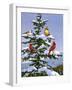 Songbirds on a Limb-William Vanderdasson-Framed Giclee Print