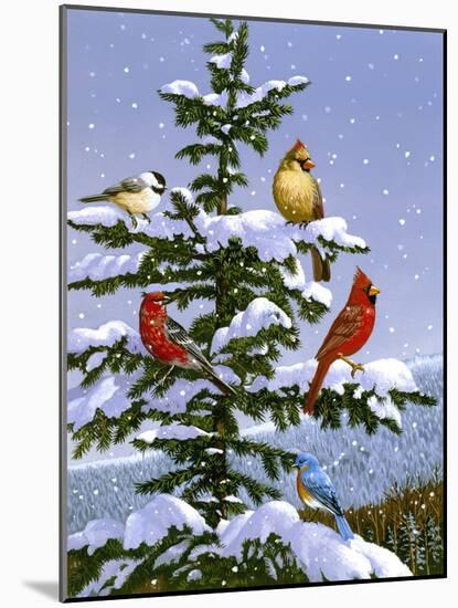 Songbirds on a Limb-William Vanderdasson-Mounted Giclee Print