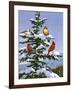 Songbirds on a Limb-William Vanderdasson-Framed Giclee Print