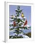 Songbirds on a Limb-William Vanderdasson-Framed Giclee Print