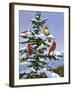 Songbirds on a Limb-William Vanderdasson-Framed Giclee Print