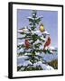 Songbirds on a Limb-William Vanderdasson-Framed Giclee Print