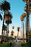 Los Angeles Downtown Park View with Palm Trees.-Songquan Deng-Photographic Print