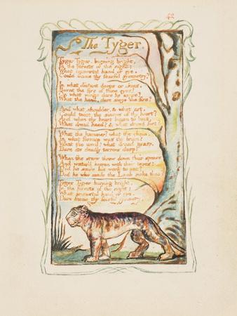 https://imgc.allpostersimages.com/img/posters/songs-of-innocence-and-of-experience-the-tyger-c-1825_u-L-Q1I7Y5N0.jpg?artPerspective=n