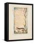 Songs of Innocence and of Experience: The Tyger, c.1825-William Blake-Framed Stretched Canvas
