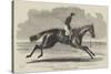 Songstress, Winner of The Oaks, at Epsom, 1852-Benjamin Herring-Stretched Canvas