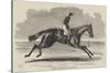 Songstress, Winner of The Oaks, at Epsom, 1852-Benjamin Herring-Stretched Canvas