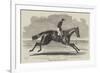 Songstress, Winner of The Oaks, at Epsom, 1852-Benjamin Herring-Framed Giclee Print