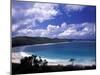 Soni Beach on Culebra Island, Puerto Rico-Michele Molinari-Mounted Premium Photographic Print