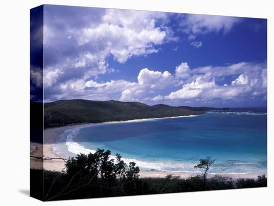 Soni Beach on Culebra Island, Puerto Rico-Michele Molinari-Stretched Canvas