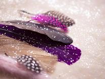 Glitter Feathers-Sonia Quintero-Art Print