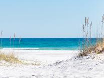 View through the Dunes to the Blue Ocean of Pensacola Beach-Sonja Filitz-Framed Stretched Canvas