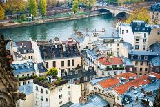 Paris Rooftops-Sonja Quintero-Photographic Print