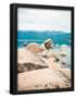 Essential Black