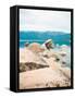 Canvas Black